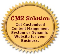 CMS, Content Management System, Dynamic Website, Database Website 